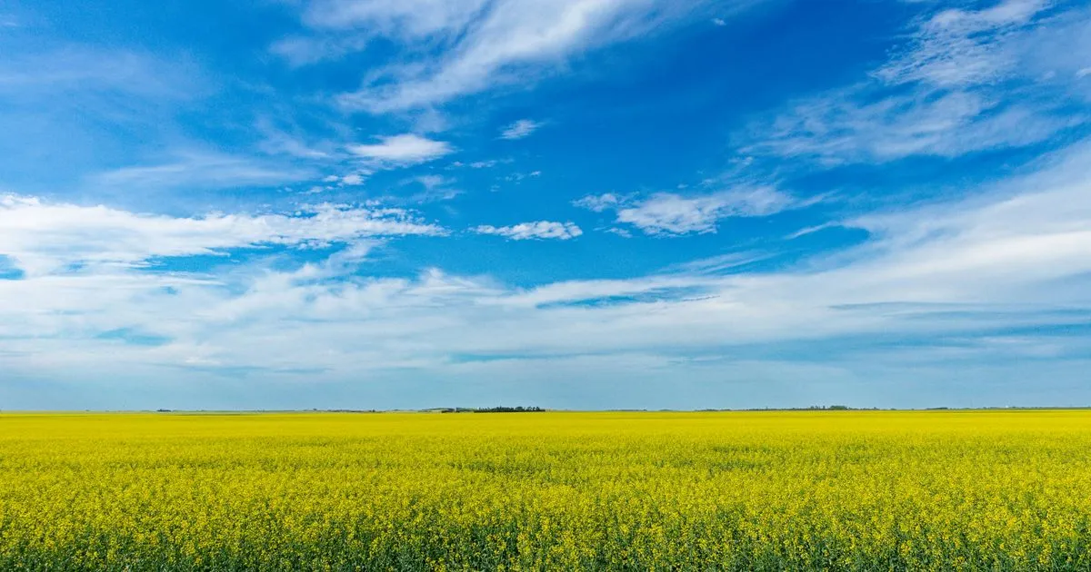 Open prairie horizon - terms of use written in plain language